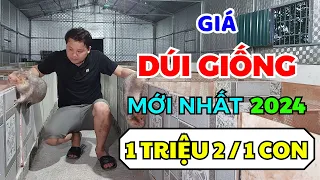 Trang Trại Dúi Má Đào Thái Lan Sinh Sản Hỗ Trợ Chăn Nuôi Dúi Giống, Tư Vấn Kỹ Thuật Hiệu Quả Nhất