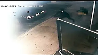 RAW VIDEO: DC gunman runs toward victim before alleged slaying in newly released video | FOX 5 DC