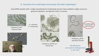 2020 WALPA Virtual Conference Session 3 - Algae