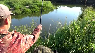 Применяю новый метод   ходовая рыбалка