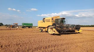 9,2t/ha! Tadeus po bobiku pokazał klasę 🤩 Pestrol zajechał z pomocą!