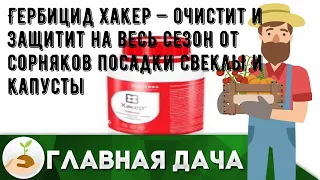 Гербицид Хакер — очистит и защитит на весь сезон от сорняков посадки свеклы и капусты