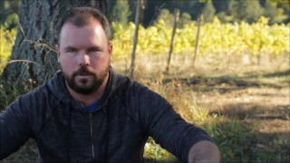 Introducing Brettanomyces into wine:  Chad Stock explains 1/2