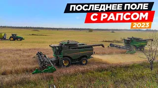 Рапс на восстановленном поле, после корчевания деревьев. Работа комбайнов John Deere.