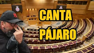 Koldo canta en el Senado. DIRECTO