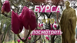 Бурса что посмотреть [Комплекс Мурадие]. Термальный отель в Бурсе. Археологический музей Бурсы.