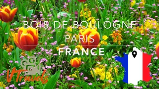 Bois de Boulogne Paris | FRANCE
