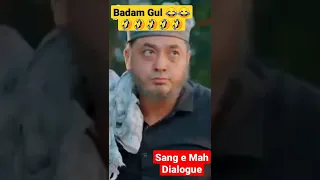 Badam Gul Funny Dialogue Status|Sang e Mah  Dialogue Status|Drama Status|#shorts|#sangemah #Status