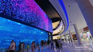 Dubai Mall Aquarium | Aquarium | Dubai mall