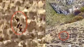 Bigfoot Spotted Near Train In Southern Colorado, UFO Sighting News.