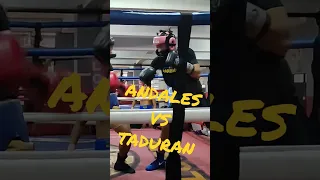 #Ararandales vs #perdrotaduran.. #boxing #sparring #mannypacquiao #ryangarcia #tankdavis #shorts