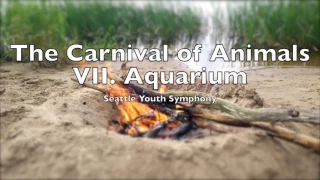 The Carnival of Animals VII Aquarium |  Camille Saint-Saëns 1 HOUR Loop Le carnaval des animaux