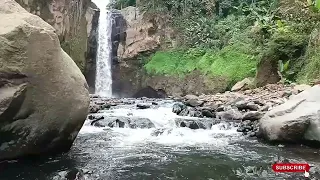 Cascade & Stream flowing in the Forest. Mountain Stream Nature Sounds for Sleep and Relaxation.