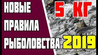 Новые правила рыболовства 2019. Штрафы за рыбалку. Новые нормы вылова рыбы. Закон о рыбалке.