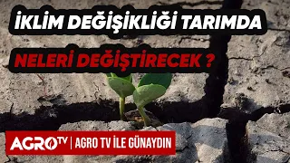 İKLİM DEĞİŞİKLİĞİ TARIMDA NELERİ DEĞİŞTİRECEK ? | Prof. Dr. Bülent Gülçubuk