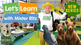 New Educational Series for Kids: Let's Learn with Mister Ritz!