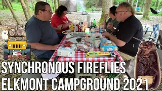 Synchronous Fireflies Camping in Elkmont Campground Great Smoky Mountains National Park 2021