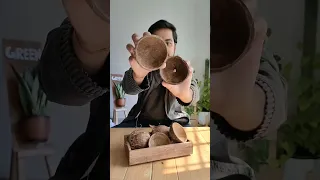 How to make coconut 🥥 bowls from coconut shells? #shorts #coconut #bowls