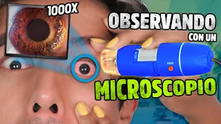 ASÍ SE VE TODO CON UN MICROSCOPIO 1000X | POLINESIOS VLOGS