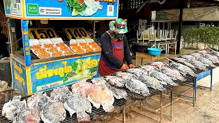 Fish Master! Amazing Charcoal Grilled Fish & Prawns | Thailand Street Food