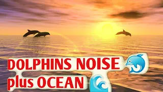 Dolphins sounds and noises | Дельфин 🐬Дельфинотерапия 🐬 |Исцеляющие звуки дельфинов