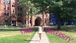 Yale University in New Haven