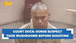 Gorge shooting suspect allegedly had mushroom hallucination prior to deadly shooting, court docs say