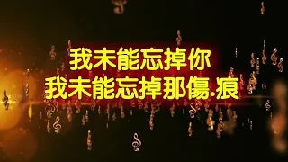 karaoke - 我未能忘掉你 - Hana 菊梓喬 - 劇集-  降魔的2 0 片尾曲  4 K movie