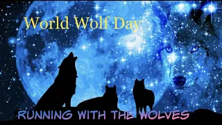 World Wolf Day - Running With The Wolves