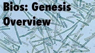 Bios: Genesis Overview