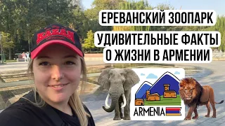Maemiza Vlog. Переезд в Армению: посетили Ереванский зоопарк. Удивительные факты о жизни в Армении