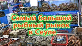 Страна морепродуктов! Самый большой рыбный рынок в Сеуле!