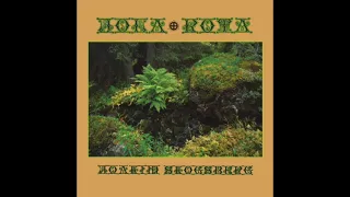 Joakim Skogsberg - Offer Rota (Swedish Psychedelic Folk Rock 1972 )
