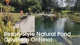 Quiet Nature - Resort-Style Natural Swimming Pond in Southern Ontario