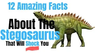 12 Facts About Stegosaurus For Kids | Stegosaurus Documentary for Kids