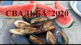 Свадьба года I Самая бюджетная свадьба I Свадьба 2020