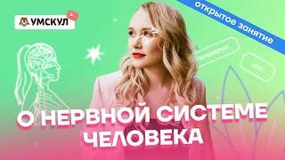 О нервной системе человека | Биология ОГЭ 2022 | Умскул