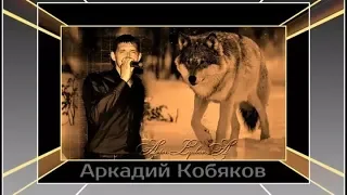 Аркадий Кобяков   Лети   Нижний Новгород   Кафе Жара