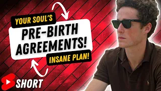 Your Soul's Insane Plan! Pre-Birth Agreements! - The Autistic Mystic