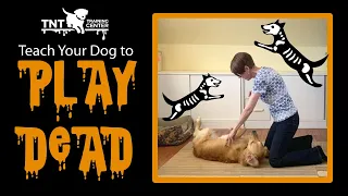 How to Teach Your Dog to Play Dead