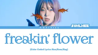 SOHLHEE '수선화 水仙花 (freakin’ flower)' Color Coded Lyrics Han/Rom/Eng