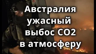 Пожар  Австралия ужасный выброс CO2 лесной пожар