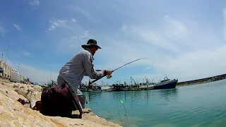 Peshkimi i qefullit ne portin e Durresit
