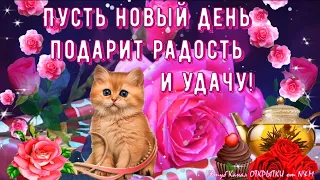 🌹С ДОБРЫМ УТРОМ! Хорошего Дня! Доброго Дня Отличного Настроения