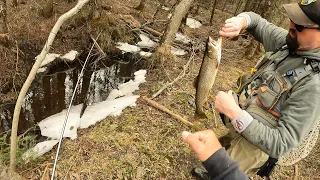 Wisconsin Trout Fishing - 4/19/2024