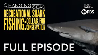 Recreational Shark Fishing: Collaborating for Conservation | Changing Seas