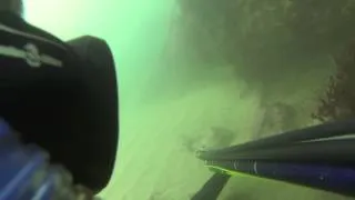 The Faceoff - Santa Barbara Lobster Diving HD