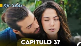 Pájaro soñador - Capitulo 37 (Audio Español) | Erkenci Kuş