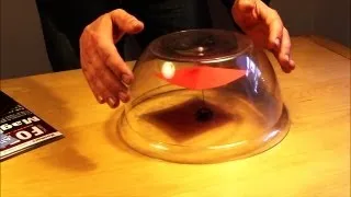 Chi Energy Demonstration under glass with Chi Spinner