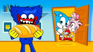 Is Hungy really scary? ...Misunderstanding of baby Sonic and baby Amy - Sonic's life story